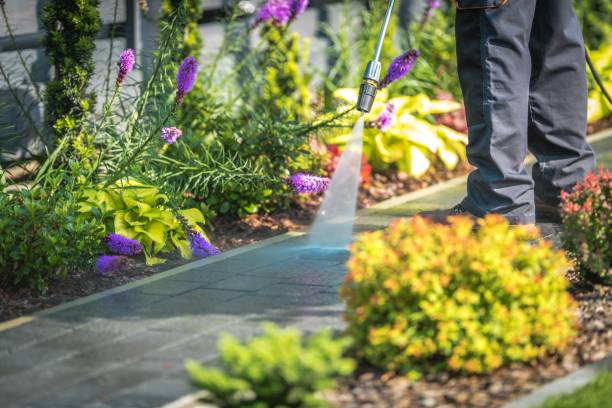 Best Winterizing Services  in Sachse, TX