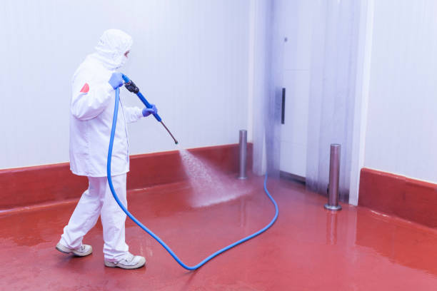 Sachse, TX Pressure Washing Services Company